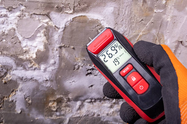 Mold Removal and Inspection in Fortuna Foothills, AZ